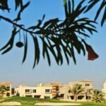 جولف فيوز 6 أكتوبر