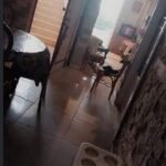 شاليه للبيع بفايد عالبحر قريه هاني سنتر جنب نادي ضباط