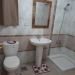 شقة مفروشة للايجار في مصر الجديدة على النيل مباشر ببرج جديد