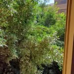 مكتب ايجار جديد لقطة بمعنى الكلمة بشارع جامعة الدول الرئيسى 15 الف ايجار شهرى للشركات والعيادات