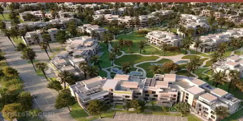 ايتابا الشيخ زايد