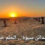 مزرعة نموذجية 5 فدان نخيل مجدول فسايل بنت جورة عمر سنة ونص بسيوة
