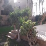 فلل للبيع في الهرم بمساحة 1400 متر