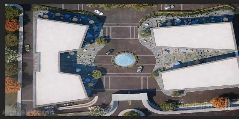 ذا ترين الشيخ زايد