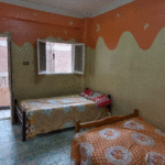 شقة مفروشة للايجار