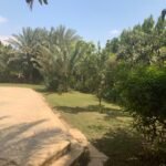 باقل سعر في كمبوند زايد هايتس علي الممشي السياحي مباشره
