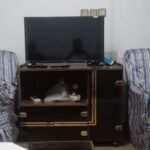 شقق مفروشة للإيجار في مدينة نصر بمساحة 110 متر