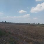٢ فدان و ٢٢ قيراط ارض زراعية للبيع فى ميت السودان -دكرنس الدقهلية