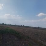 ٢ فدان و ٢٢ قيراط ارض زراعية للبيع فى ميت السودان -دكرنس الدقهلية