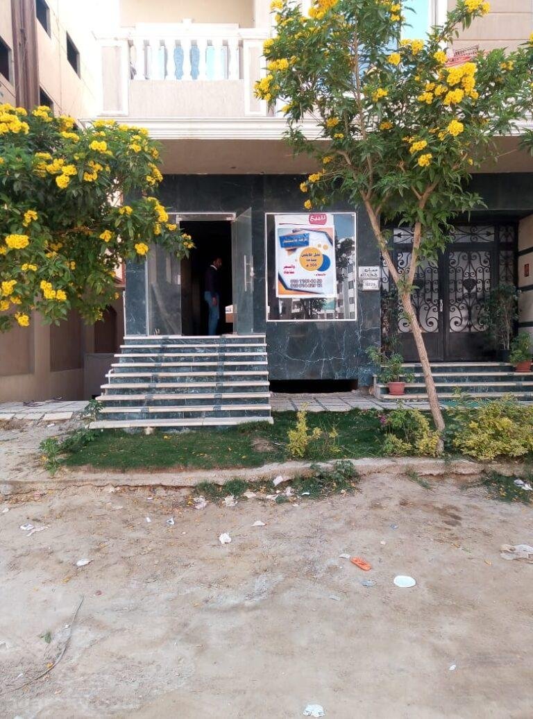 زهراء المعادي المعراج السفلي