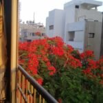 شقة سكنية 165م للبيع كاش بمنطقة نادي الصيد بالدقي
