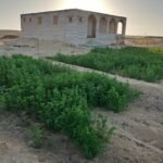 Agricultural land for agricultural and tourism investment in Siwa