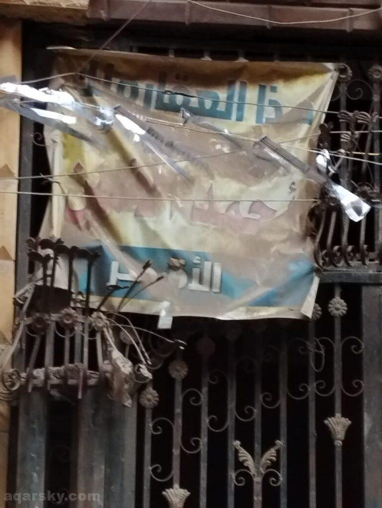 المرج الجديده الخصوص حى الشجرة