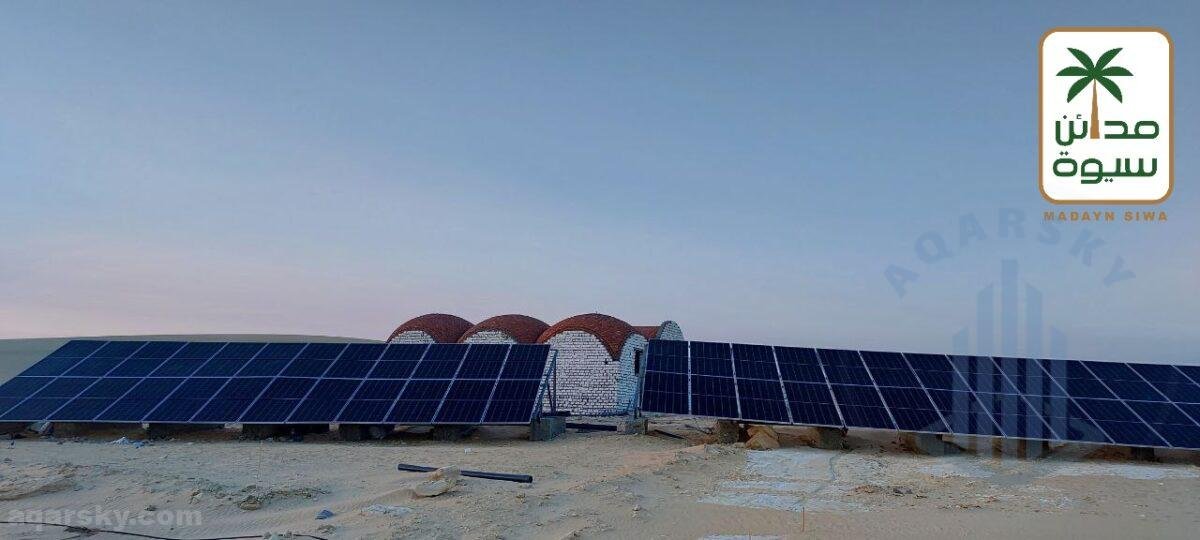 ارض للبيع 5 فدان مزروع زيتون مراقي