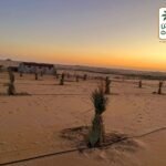 ارض للبيع 5فدان نخيل مجدول
