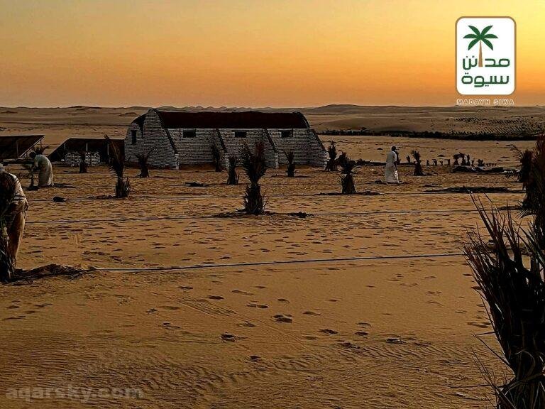 ارض للبيع 5 فدان مزروعة نخيل سيوي