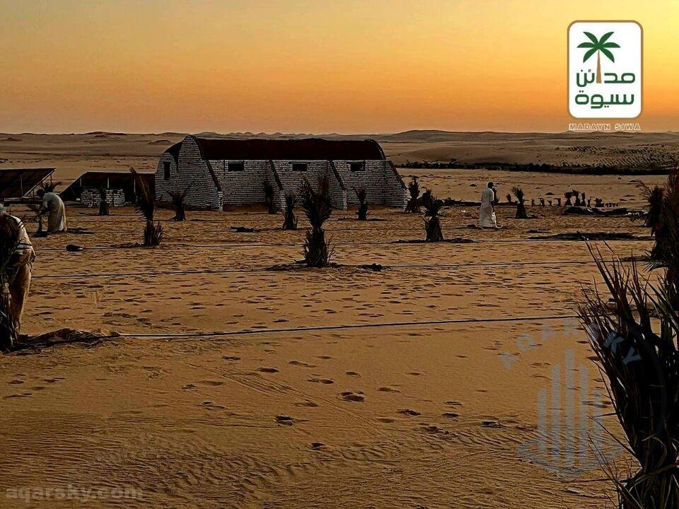 ارض للبيع 5 فدان مزروعة نخيل سيوي