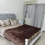 شقه مفروشه للايجار في المهندسين