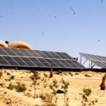 600,000 جنية ارض للبيع 2.5 فدان مزروعة نخيل سيوى بسيوة جبل الدكرور