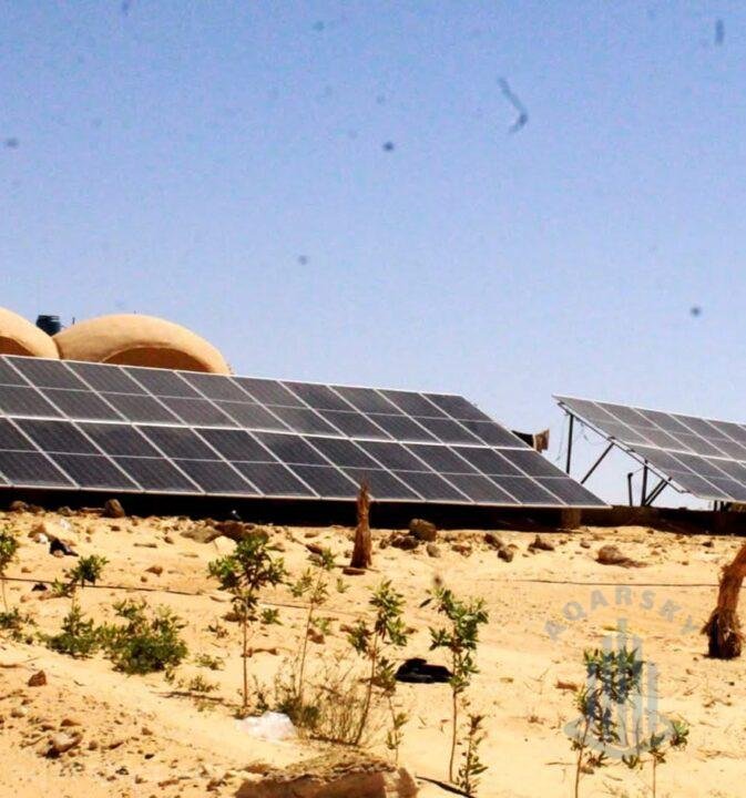 600,000 جنية ارض للبيع 2.5 فدان مزروعة نخيل سيوى بسيوة جبل الدكرور