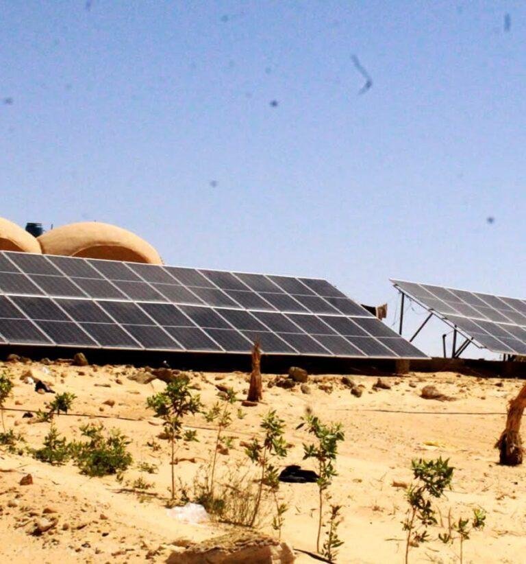 600,000 جنية ارض للبيع 2.5 فدان مزروعة نخيل سيوى بسيوة جبل الدكرور