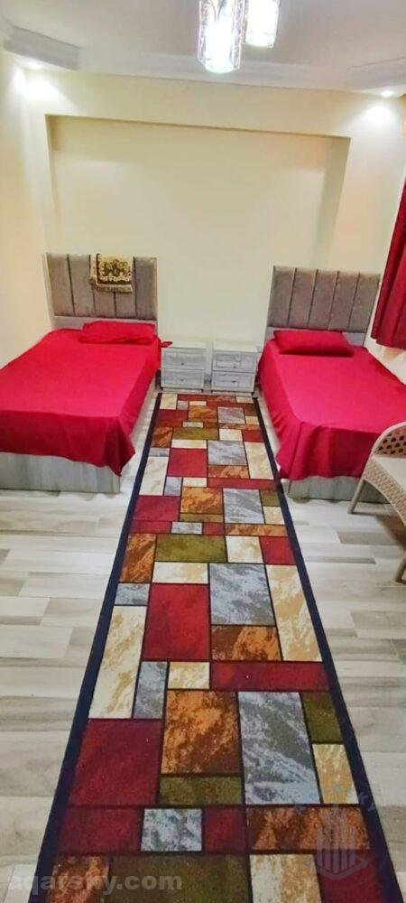 شقه مفروشه علي النيل مباشر بالمنيل للايجار