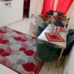 شقه مفروشه علي النيل مباشر بالمنيل للايجار