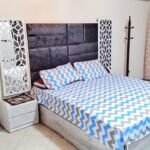 شقه مفروشه للايجار علي النيل بالمنيل