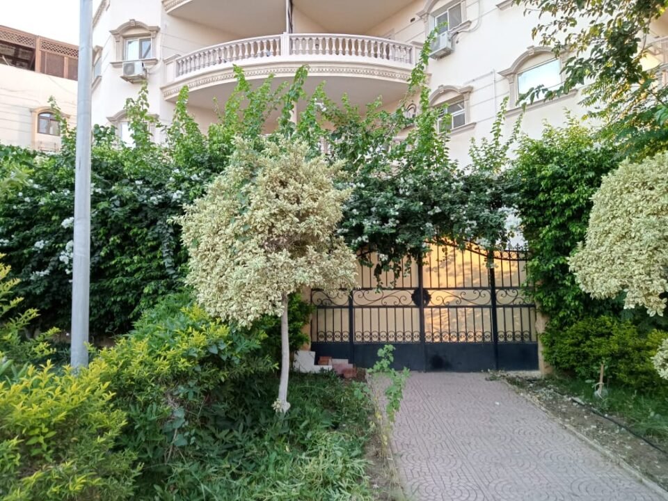 شقة سكنية للإيجار دور أرضي مرتفع على جنينة 340م في جنوب الأكاديمية