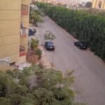 شقه فاخره للايجار ب دجله المعادي عمائر الصفوه