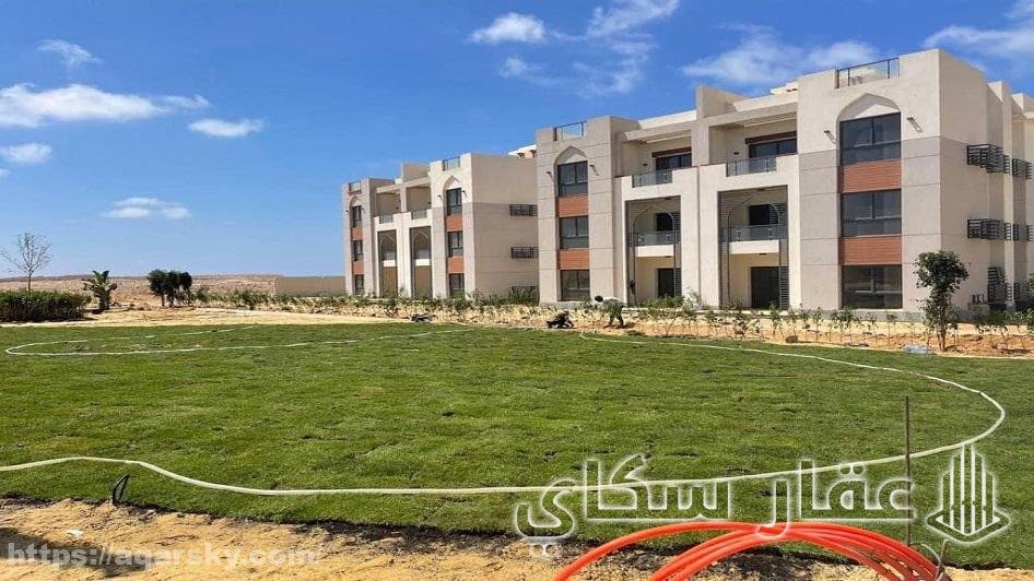 Al Ahly Sabbour Development