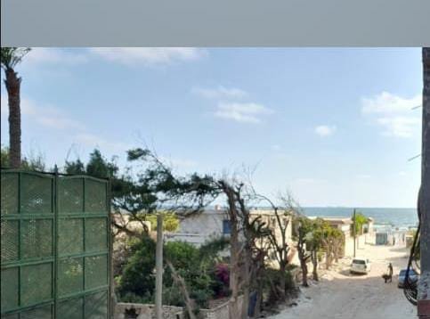 شقه للايجار بالعجمي بيانكي