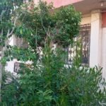 شقه_110م متر _ بالحي الثامن_ نزهه العبور – مدينة العبور