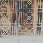 Building: 220 meters, 4 floors, excluding the ground floor, with 4 storage shops