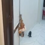 الشقه في شارع معمل اللبن تالت نمره من علي العمومي شارع ناهيا