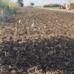 ارض للبيع مساحة 1663 متر محافظة اسيوط مركز منفلوط ق يه نزع قرار