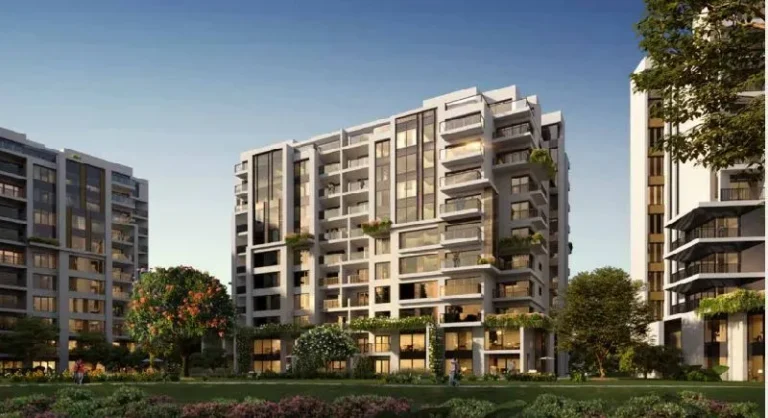 yasmine compound sheikh zayed