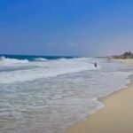 للبيع 375 فدان الساحل الشمالى على البحر مباشرة