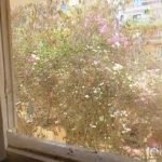 شقه للإيجار لالحى الثالث مجاوره٢ غرفتين وريسبشن ثلاث قطع موقع متميز