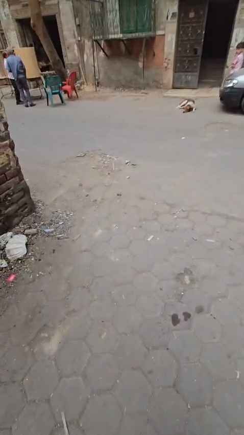 أرض ١٢٠ متر بمنطقة البغالة بحى السيدة زينب