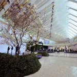 مول باب مصر المهندسين