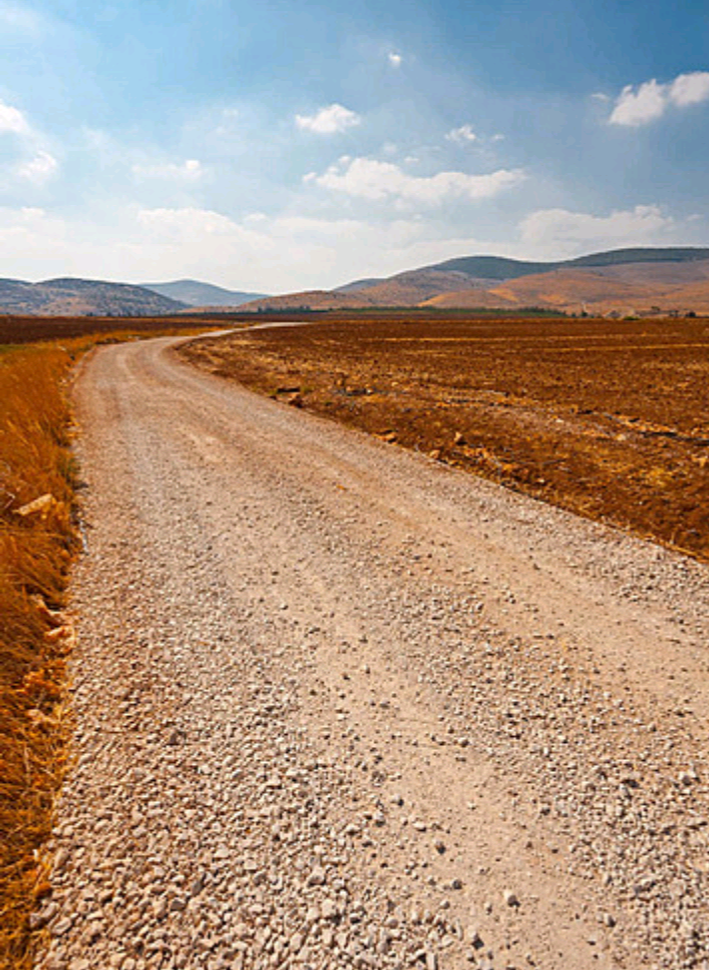 TivitiesEmpty land for agricultural ac