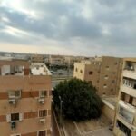 الشيخ زايد الحي ال 11 المجاورة الاولى امام مسجد لؤي