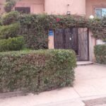 الشيخ زايد الحي ال 11 المجاورة الاولى امام مسجد لؤي