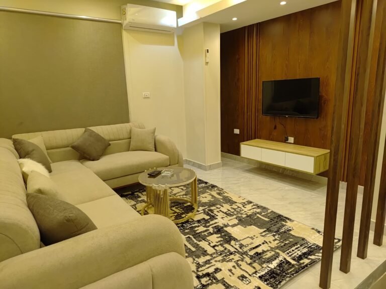 stunning maadi apartment direct from owner (no commision)