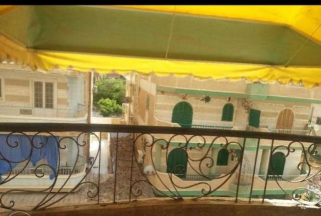 اكتوبر شاطئ النخيل الاسكندريه