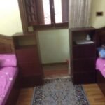 ابن سندر الزيتون