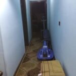 ابن سندر الزيتون