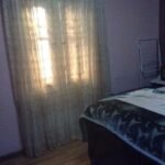 ابن سندر الزيتون