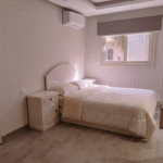 stunning maadi apartment direct from owner (no commision)